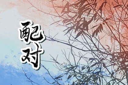 从十神看付出与边界
